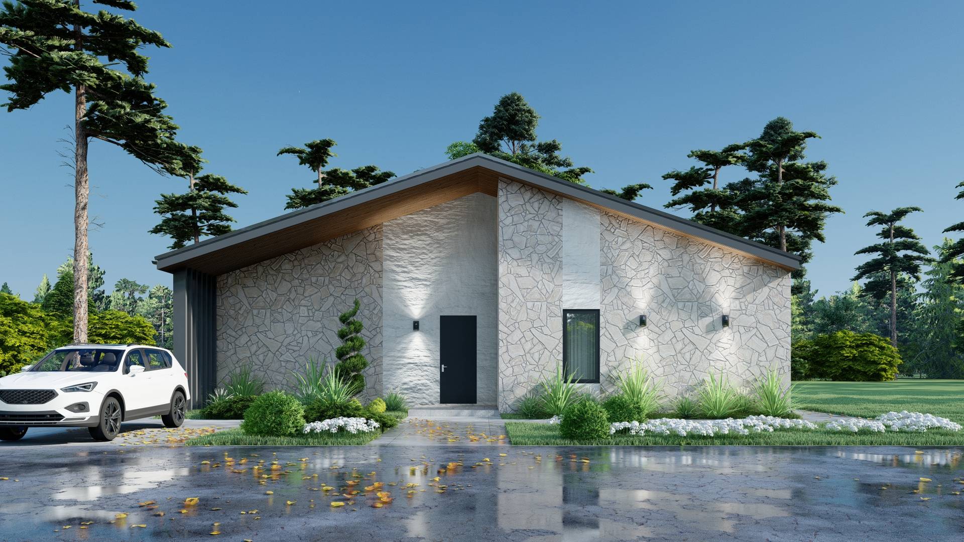 Проект одноэтажного дом, шале смотреть онлайн