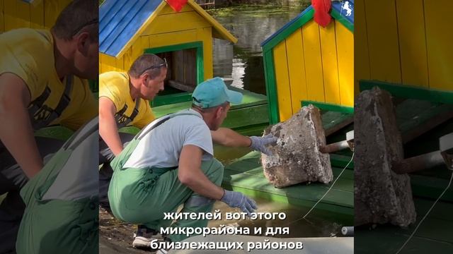 🦆 На Красносельском пруду обновили домики для уток смотреть онлайн