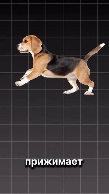 3cbbc15115974134be93681771cc4f00