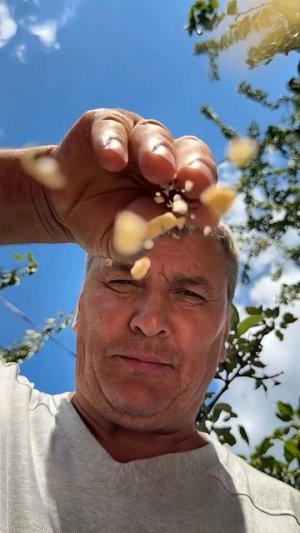 Почему это мороженое НЕ продают в магазинах?