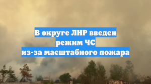 В округе ЛНР введен режим ЧС из-за масштабного пожара