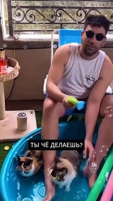 AQNg3v-HrxkBzpyAqKMQ_5WSiqHQrDvbeMY-38J_pV8Fy2tdddcWVu0kFaf9YmxqLFNcCwqO1waDQU0EanBsaqIs6ASaYvg7.mp4 смотреть онлайн