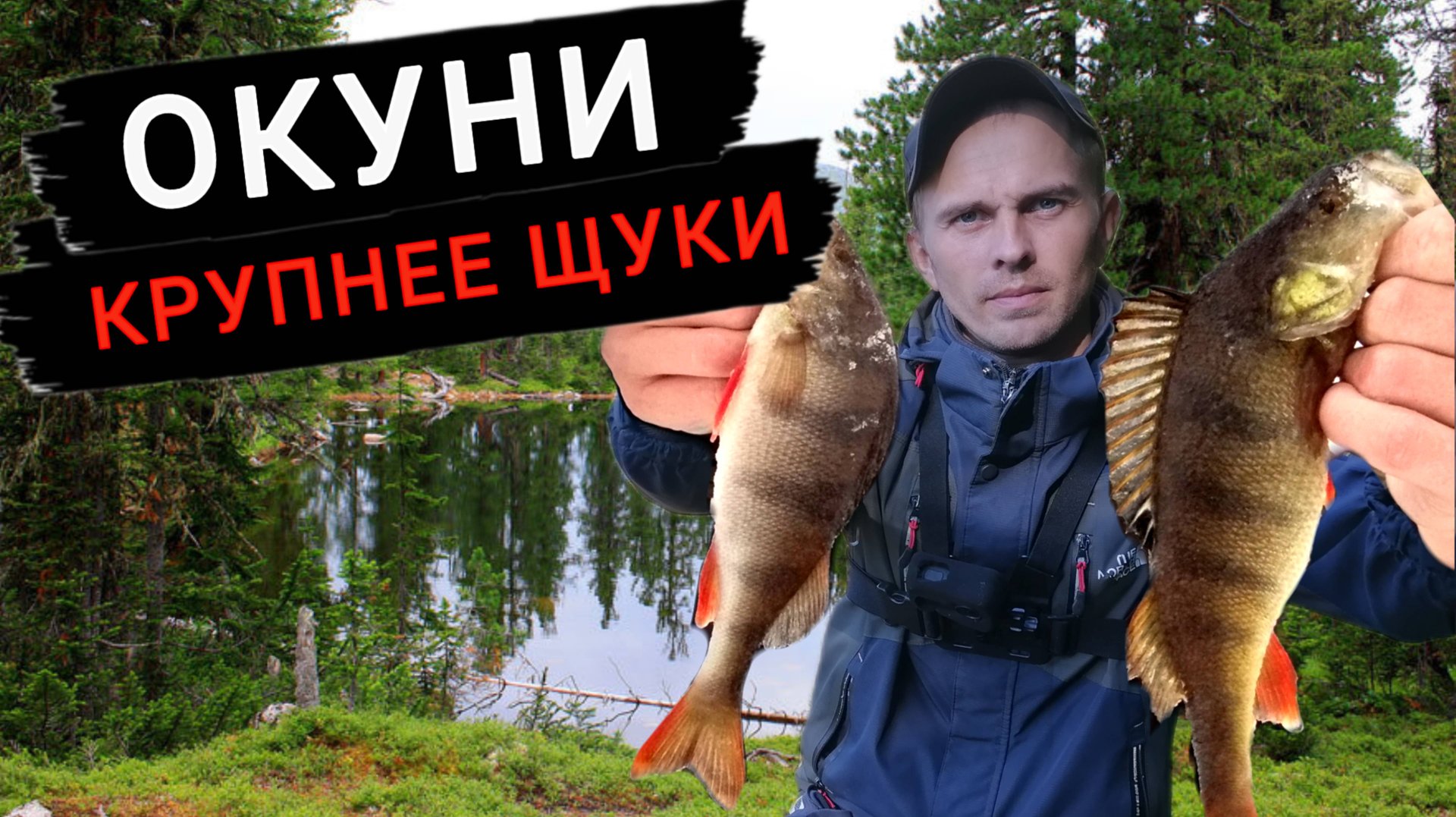 Окуни крупнее щуки. Рыбалка на спиннинг.Поход на таёжное озеро. смотреть онлайн