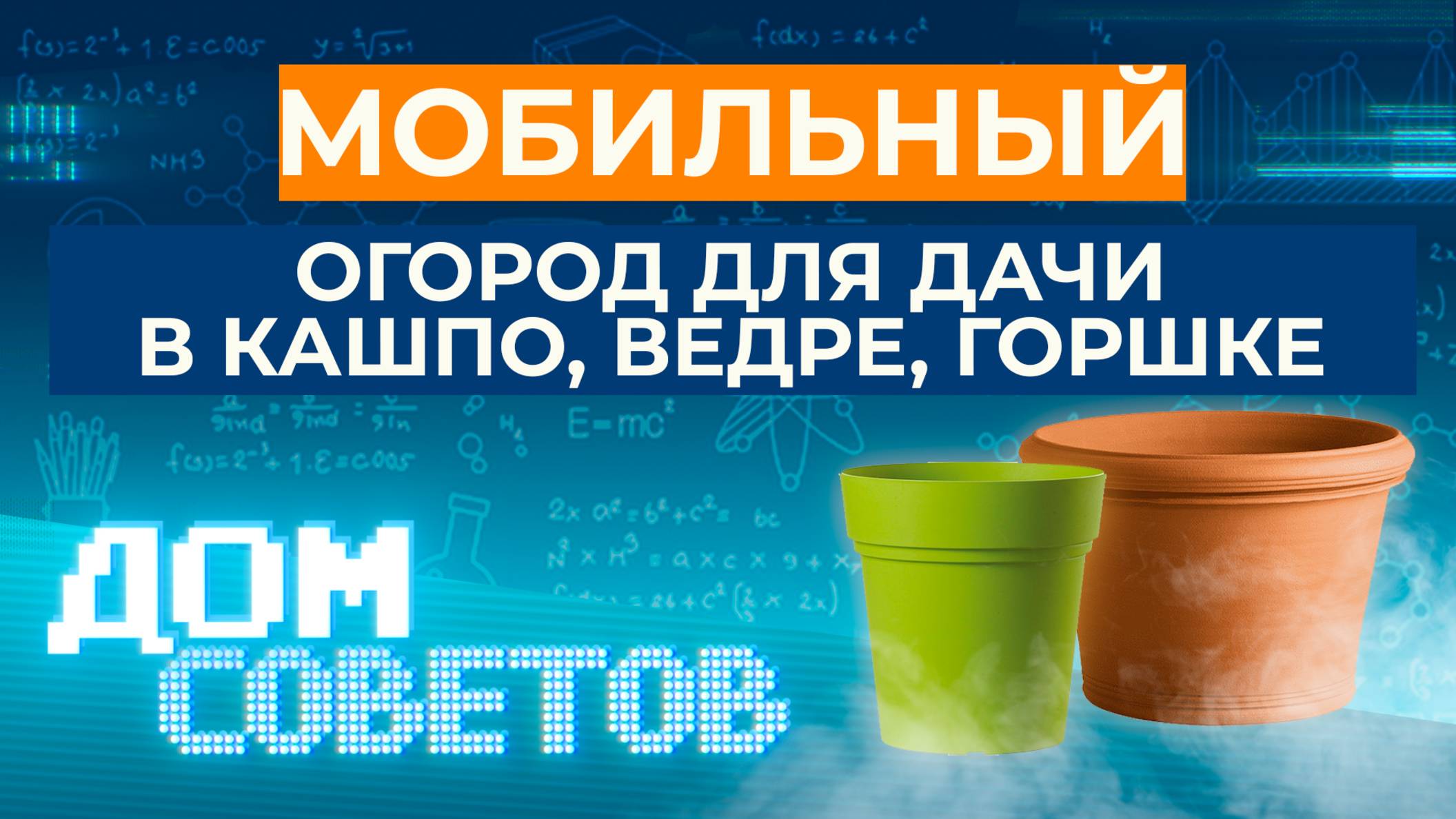 Мобильный огород для дачи в кашпо, ведре, горшке