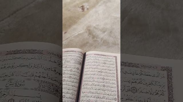Quran