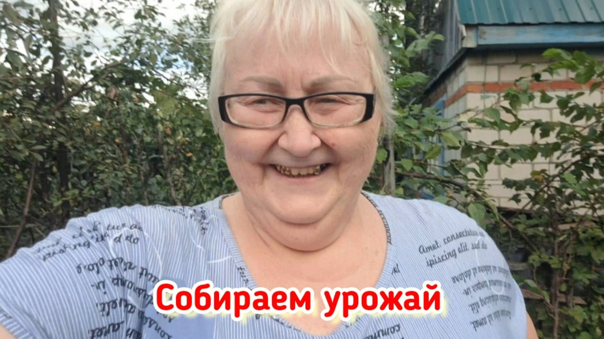 Готовлю вяленые груши, делаю заготовки, собираю урожай. смотреть онлайн