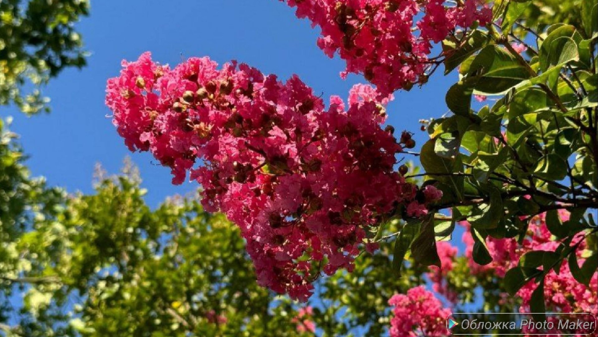 Шоппинг 🧡/покупки на осень 🍁/ покупки в Чижик 💛 смотреть онлайн
