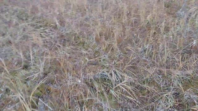 Мнение Артура