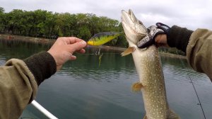 Рыбалка на щуку, 🎣ловля на  джеркбейт,крупные приманки.