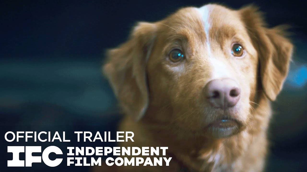 Good Boy Movie - Official Trailer | IFC Films смотреть онлайн