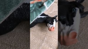 фигурки лошадей шляйх фильм ПИКОВАЯ ДАМА