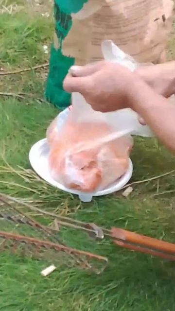 Курск река Сейм