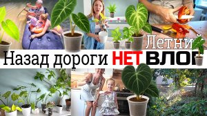 Купила много растений на авито🌱🌵  Летний ВЛОГ☀️🏖️