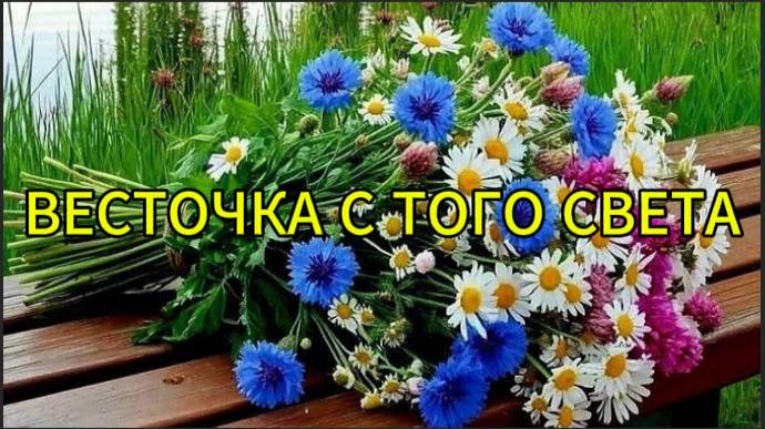 Весточка с того света смотреть онлайн