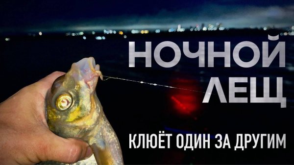 НОЧНАЯ рыбалка. Как ловлю ЛЕЩА, клюет один за другим! Рыбалка на фидер!