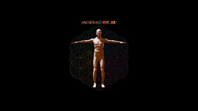 ПРАКТИКА СКАНИРОВАНИЯ ТЕЛА