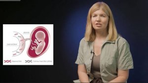 Неинвазивное пренатальное тестирование (НИПТ) или неинвазивный пренатальный скрининг (НИПС)