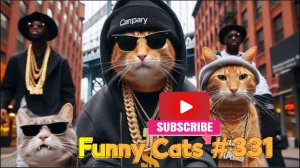 Смешные коты #331