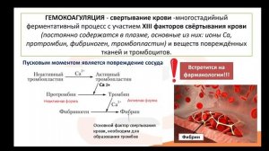 Видео-лекция №2.5 Тромбоциты