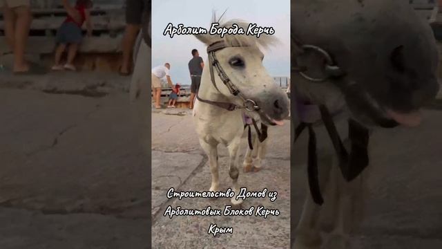 Строим Дома из Арболит Блока Керчь Крым,Производство Арболит Блока Керчь Крым смотреть онлайн