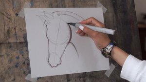 Как рисовать СКЕТЧИ   🐴Лошадь в технике скетчинг