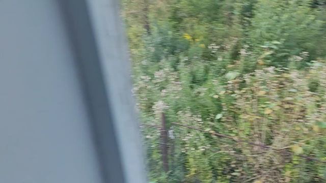 VID_20250815_191145 смотреть онлайн