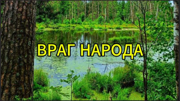 Враг народа смотреть онлайн