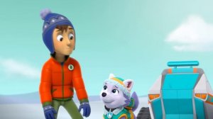 Щенячий патруль | Щенячий патруль в открытом космосе и не только! С Райдером и Гончиком | Nick Jr.