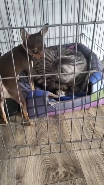 ты с нами живёшь, не мы с тобой 😂