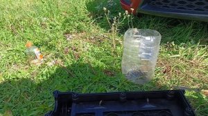 Как заменить прокладку клапанной крышки Киа Рио 2