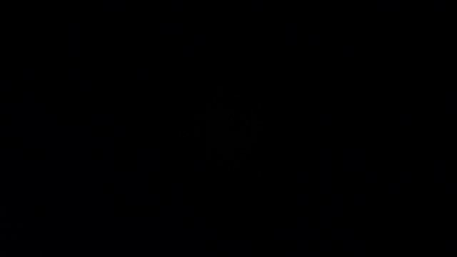 И. Штраус. Полька "Анна" (на виброфоне) смотреть онлайн