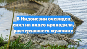 В Индонезии очевидец снял на видео крокодила, растерзавшего мужчину