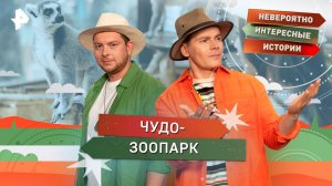Чудо-зоопарк — Невероятно интересные истории (18.08.2025)