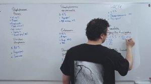Инфекционный эндокардит. Этиология, патогенез, клиническая картина, диагностика, лечение
