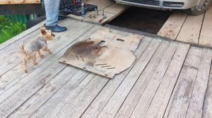 Собрала чёрную смородину,машину починили.