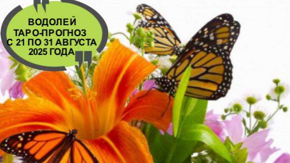 ВОДОЛЕЙ ТАРО-ПРОГНОЗ С 21 ПО 31 АВГУСТА 2025 ГОДА смотреть онлайн