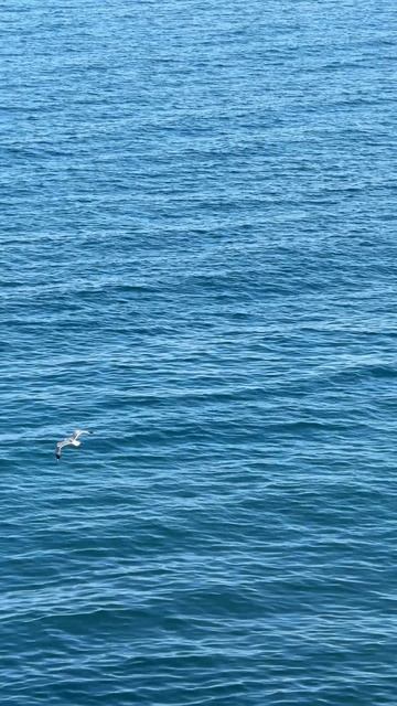 Только представьте ... это Крым 😍