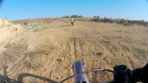 В семье появился второй конь