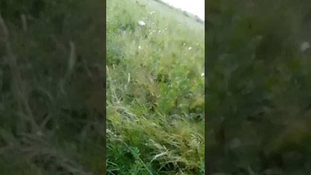 5 сезон 2 серия улица смотреть онлайн