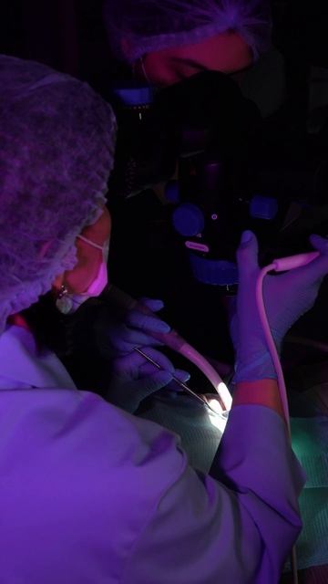 Посмотрите, что стоматолог делает с зубом за 15 секунд смотреть онлайн