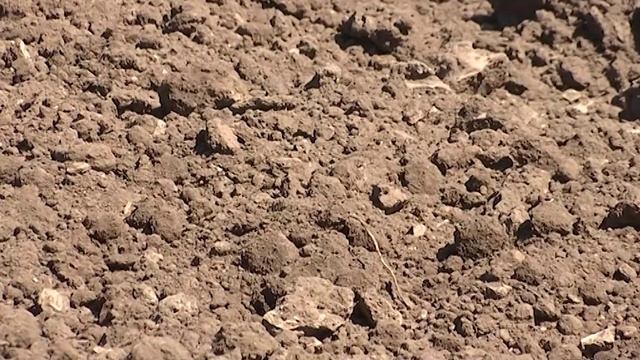 ХХXVI съезд Ассоциации крестьянских фермерских хозяйств смотреть онлайн