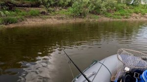 Рыбалка на Оби 18.08.25. Часть 2