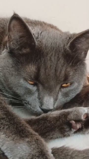 А чем вы вообще занимаетесь!?#shorts