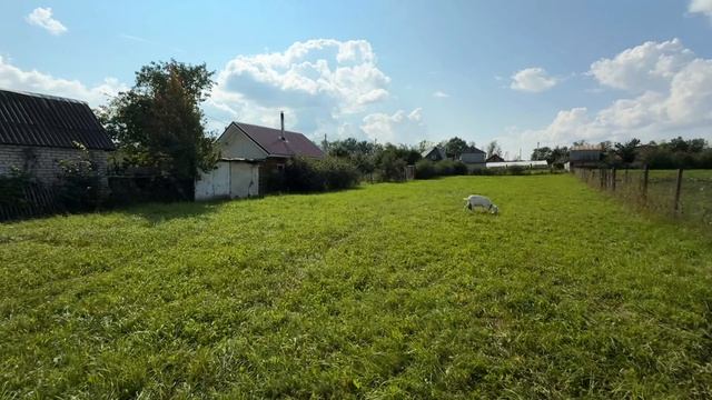 Продается земельный участок. Новое Атлашево смотреть онлайн