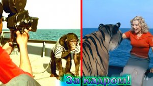 "Полосатый рейс" - как снимали Советский фильм с хищниками и интересные факты о нем!