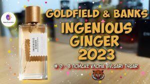 # 9 - В ПОИСКЕ КЛОНА BVLGARI TYGAR - "GOLDFIELD & BANKS INGENIOUS GINGER" - знакомство и сравнение