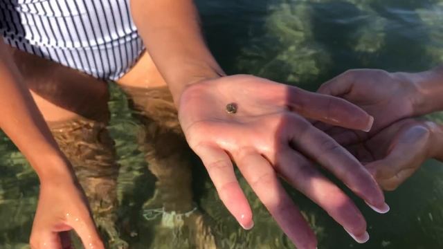 А мы с утра опять на море смотреть онлайн