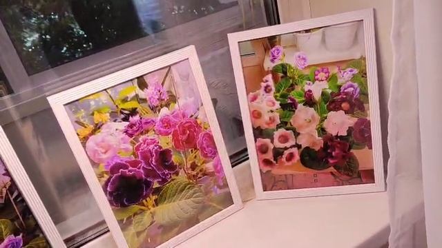 Девочки смотрите что я придумала 😍☺🤗сделала картины из своих глоксиний! Милота  красота!! смотреть онлайн