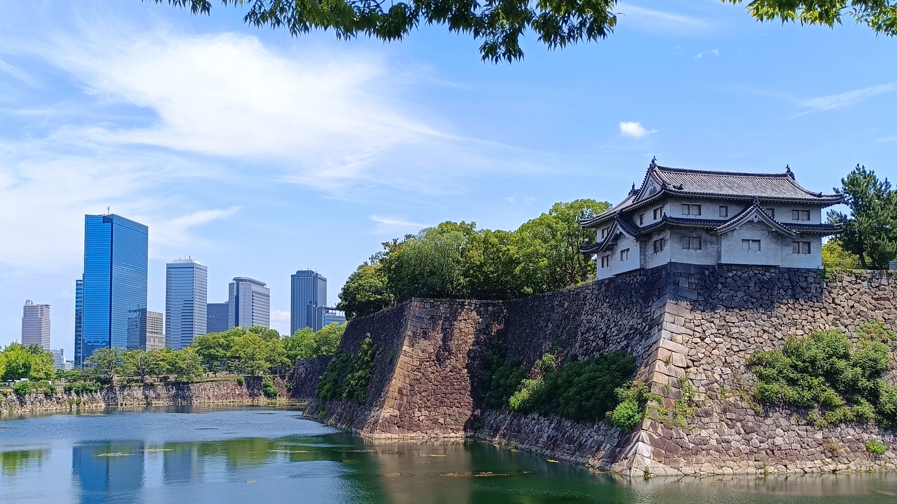 СП А лето цвета-3 с Людмилой Красноперовой. Отчёт 6. смотреть онлайн