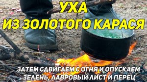Золотой Карась: А Стоит ли Оно того? Варим Очень Быструю Уху на Озере! 🎣 🐟 🥣 🚤